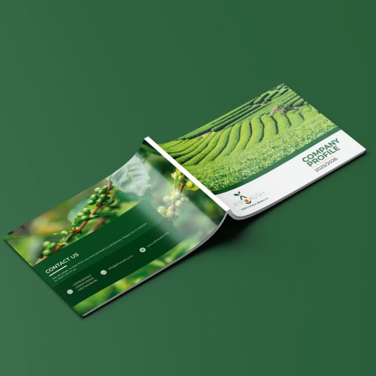 Thiết kế brochure, hồ sơ năng lực
